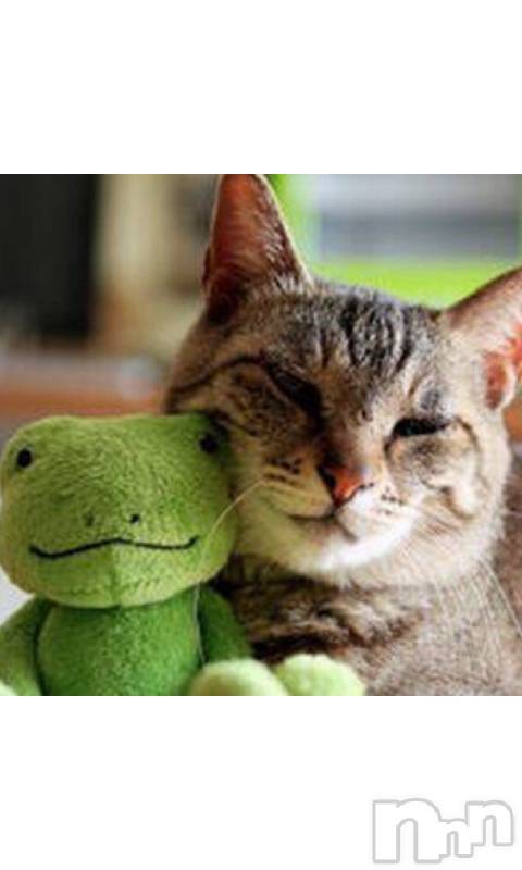 上越デリヘル上越風俗出張アロママッサージ(ジョウエツフウゾクシュッチョウアロママッサージ) える☆(40)の6月4日写メブログ「★える★」