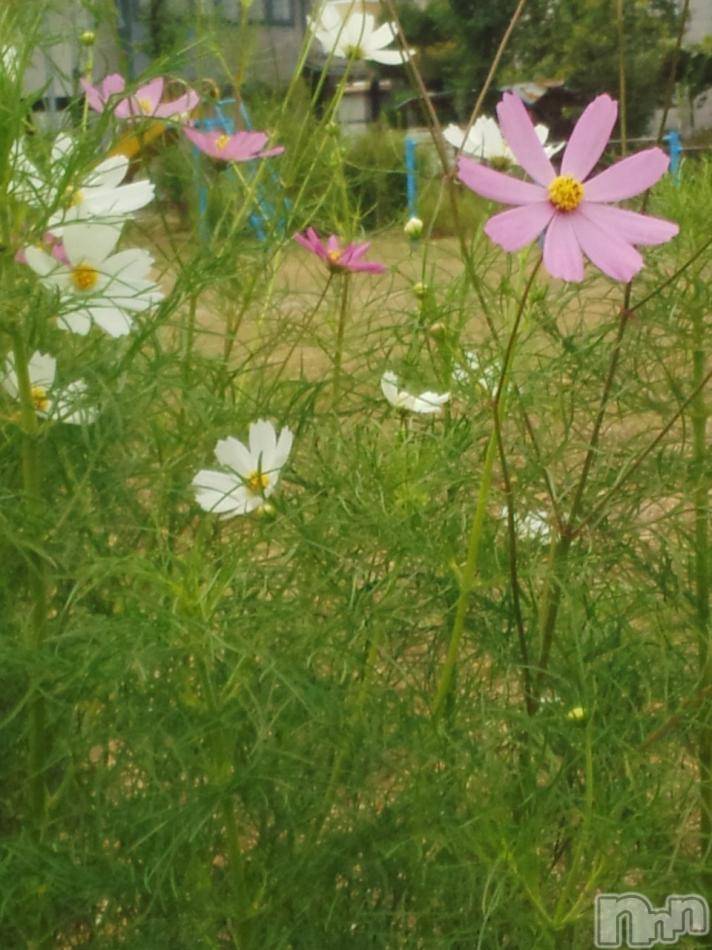 上越デリヘル上越風俗出張アロママッサージ(ジョウエツフウゾクシュッチョウアロママッサージ)える☆(40)の2013年9月25日写メブログ「★える★です」