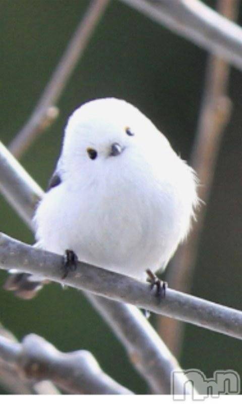 上越デリヘル上越風俗出張アロママッサージ(ジョウエツフウゾクシュッチョウアロママッサージ)える☆(40)の2013年12月19日写メブログ「★える★です」