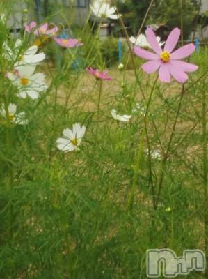 上越デリヘル 上越風俗出張アロママッサージ(ジョウエツフウゾクシュッチョウアロママッサージ) える☆(40)の9月25日写メブログ「★える★です」