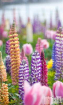 上越デリヘル 上越風俗出張アロママッサージ(ジョウエツフウゾクシュッチョウアロママッサージ) える☆(40)の11月9日写メブログ「★える★です」