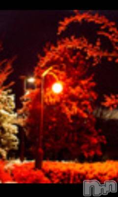 上越デリヘル 上越風俗出張アロママッサージ(ジョウエツフウゾクシュッチョウアロママッサージ) える☆(40)の2月6日写メブログ「★える★です」