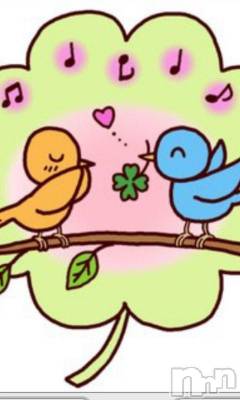 上越デリヘル 上越風俗出張アロママッサージ(ジョウエツフウゾクシュッチョウアロママッサージ) える☆(40)の3月18日写メブログ「新潟店★える★」