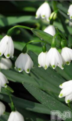 上越デリヘル 上越風俗出張アロママッサージ(ジョウエツフウゾクシュッチョウアロママッサージ) える☆(40)の5月25日写メブログ「★える★」