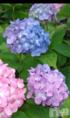 上越デリヘル 上越風俗出張アロママッサージ(ジョウエツフウゾクシュッチョウアロママッサージ) える☆(40)の6月17日写メブログ「★える★」