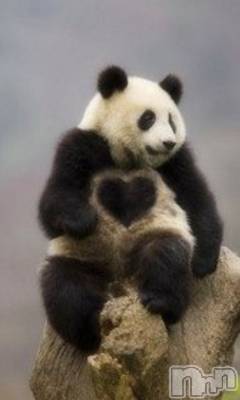 上越デリヘル 上越風俗出張アロママッサージ(ジョウエツフウゾクシュッチョウアロママッサージ) える☆(40)の6月19日写メブログ「★える★」