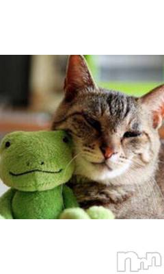 上越デリヘル 上越風俗出張アロママッサージ(ジョウエツフウゾクシュッチョウアロママッサージ) える☆(40)の8月11日写メブログ「★える★」