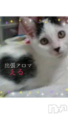 上越デリヘル 上越風俗出張アロママッサージ(ジョウエツフウゾクシュッチョウアロママッサージ) える☆(40)の11月2日写メブログ「★える★」