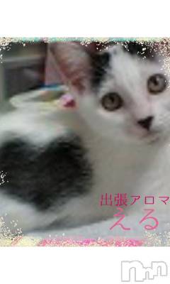 上越デリヘル 上越風俗出張アロママッサージ(ジョウエツフウゾクシュッチョウアロママッサージ) える☆(40)の1月12日写メブログ「★える★」