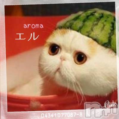 上越デリヘル 上越風俗出張アロママッサージ(ジョウエツフウゾクシュッチョウアロママッサージ) える☆(40)の11月18日写メブログ「★える★」