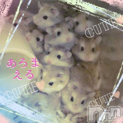 上越デリヘル 上越風俗出張アロママッサージ(ジョウエツフウゾクシュッチョウアロママッサージ) える☆(40)の3月5日写メブログ「★える★」