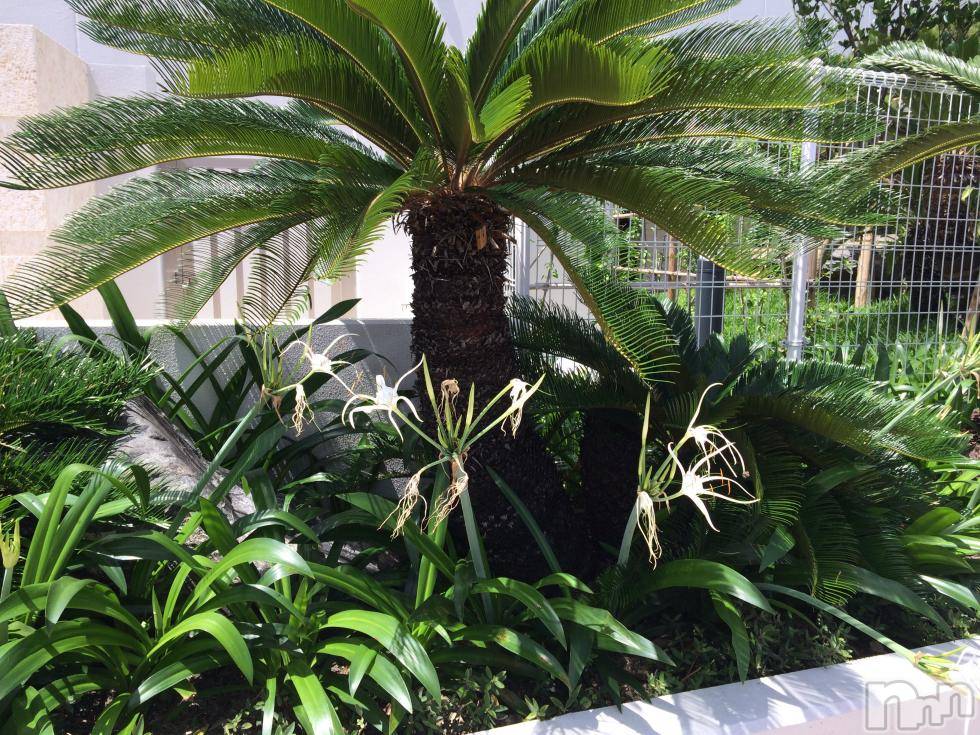 上越デリヘル上越風俗出張アロママッサージ(ジョウエツフウゾクシュッチョウアロママッサージ) あかり☆(32)の7月11日写メブログ「上越到着( ^ω^ )」