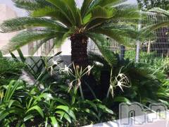 上越デリヘル上越風俗出張アロママッサージ(ジョウエツフウゾクシュッチョウアロママッサージ) あかり☆(32)の7月11日写メブログ「上越到着( ^ω^ )」