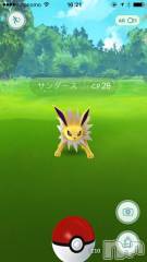 上越デリヘル上越風俗出張アロママッサージ(ジョウエツフウゾクシュッチョウアロママッサージ) あかり☆(32)の8月20日写メブログ「事務所にサンダース？」