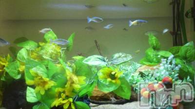 上越デリヘル 上越風俗出張アロママッサージ(ジョウエツフウゾクシュッチョウアロママッサージ) あかり☆(32)の9月10日写メブログ「お礼です(*^_^*)」