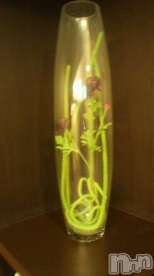 上越デリヘル 上越風俗出張アロママッサージ(ジョウエツフウゾクシュッチョウアロママッサージ) あかり☆(32)の9月11日写メブログ「お礼です(*^_^*)」