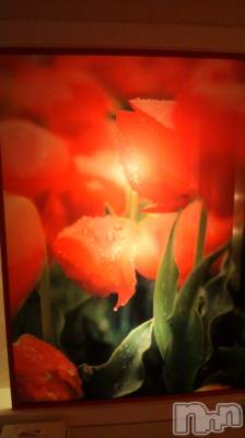 上越デリヘル 上越風俗出張アロママッサージ(ジョウエツフウゾクシュッチョウアロママッサージ) あかり☆(32)の12月2日写メブログ「お礼です(*^_^*)」