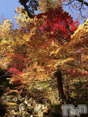 上越デリヘル 上越風俗出張アロママッサージ(ジョウエツフウゾクシュッチョウアロママッサージ) あかり☆(32)の11月18日写メブログ「何処も紅葉が綺麗ですね(//∇//)」