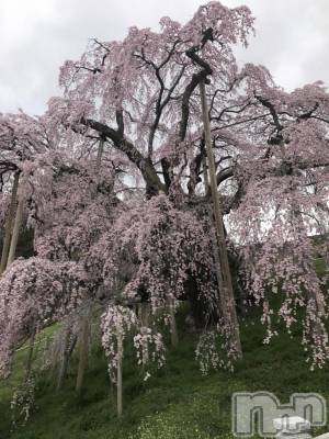 上越デリヘル 上越風俗出張アロママッサージ(ジョウエツフウゾクシュッチョウアロママッサージ) あかり☆(32)の3月16日写メブログ「今年はどうしよう？」