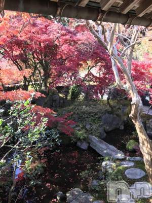 上越デリヘル 上越風俗出張アロママッサージ(ジョウエツフウゾクシュッチョウアロママッサージ) あかり☆(32)の10月18日写メブログ「あちこちで」