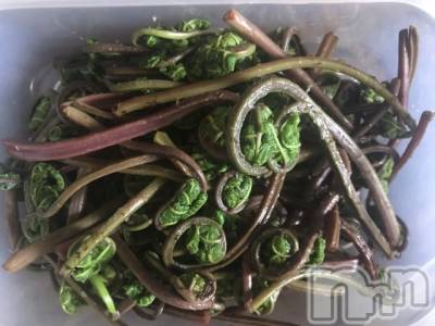 上越デリヘル 上越風俗出張アロママッサージ(ジョウエツフウゾクシュッチョウアロママッサージ) あかり☆(32)の4月23日写メブログ「山菜」