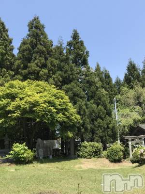 上越デリヘル 上越風俗出張アロママッサージ(ジョウエツフウゾクシュッチョウアロママッサージ) あかり☆(32)の5月10日写メブログ「お散歩」