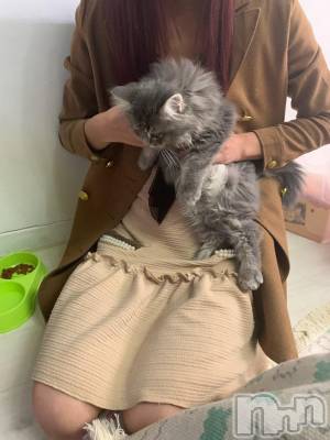 上越デリヘル 上越風俗出張アロママッサージ(ジョウエツフウゾクシュッチョウアロママッサージ) あかり☆(32)の2月21日写メブログ「＋15分」