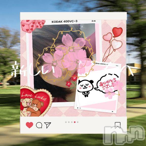 上越デリヘル上越風俗出張アロママッサージ(ジョウエツフウゾクシュッチョウアロママッサージ)みどり☆(38)の2026年3月22日写メブログ「春が来た⏩️上越店へ🌸」