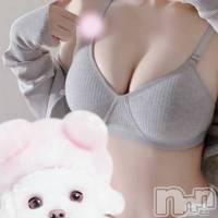 長岡デリヘル 長岡人妻市(ナガオカヒトヅマイチ)の12月16日お店速報「60分コース長岡市内全域＆事前予約OKになりました！」