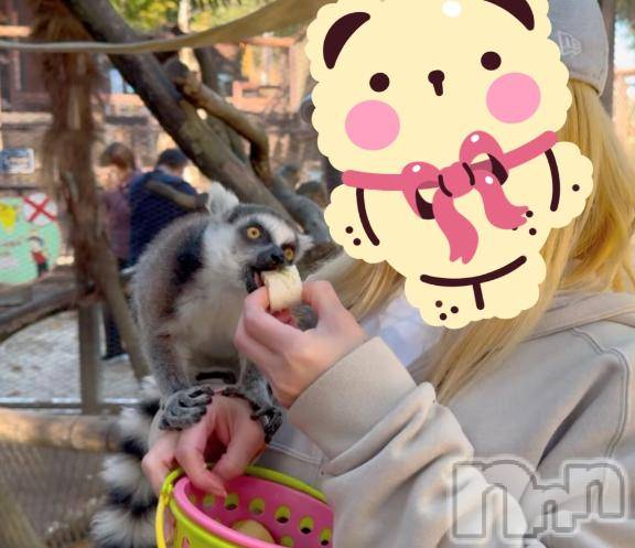 新潟ソープ不夜城(フヤジョウ)ネネ(24)の2024年12月16日写メブログ「動物園で課金！！」