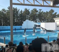 長岡デリヘル長岡人妻市(ナガオカヒトヅマイチ) ゆきな『美人過ぎてごめんなさい』(39)の8月6日写メブログ「私…どーこだ？」