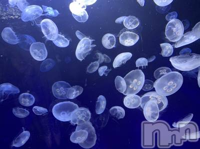 長岡デリヘル 長岡人妻市(ナガオカヒトヅマイチ) ゆきな『美人過ぎてごめんなさい』(39)の8月8日写メブログ「涼しげ♪」