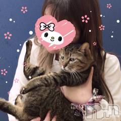 三条デリヘル人妻じゅんちゃん-出稼ぎ0！地元の奥様専門-(ヒトヅマジュンチャン) 篠原えりな☆むっちりほんわか奥様(37)の3月23日写メブログ「またまた、お、ひ、さ♡」