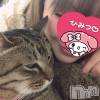 三条デリヘル 人妻じゅんちゃん-出稼ぎ0！地元の奥様専門-(ヒトヅマジュンチャン) 篠原えりな☆清楚エロ(37)の1月16日写メブログ「ただいまーー♡♡」