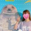 三条デリヘル 人妻じゅんちゃん-出稼ぎ0！地元の奥様専門-(ヒトヅマジュンチャン) 篠原えりな☆清楚エロ(37)の7月19日写メブログ「うりふたつ、、、？？」