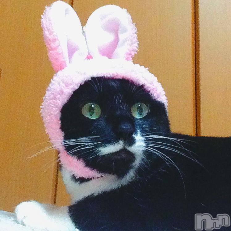 新潟デリヘルMinx(ミンクス)志保(26)の2017年6月17日写メブログ「うさぎ飼い始めました。」