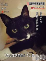 新潟デリヘルMinx(ミンクス) 志保(26)の10月22日写メブログ「NYから中継!!」