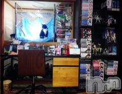 新潟デリヘルMinx(ミンクス) 志保(26)の1月31日写メブログ「志保のプラモ部屋。」