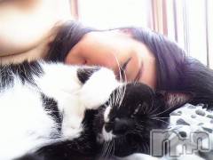 新潟デリヘルMinx(ミンクス) 志保(26)の2月22日写メブログ「今日は猫の日!!」