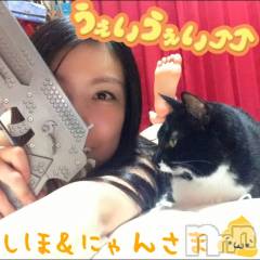 新潟デリヘルMinx(ミンクス) 志保(26)の2月22日写メブログ「にゃんさまの日やでッッ!!」