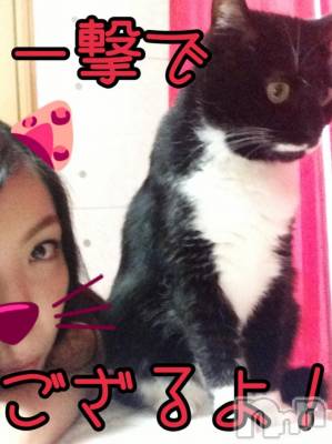 新潟デリヘル Minx(ミンクス) 志保(26)の4月27日写メブログ「一撃でござる!!」