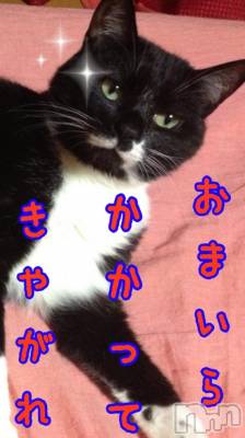 新潟デリヘル Minx(ミンクス) 志保(26)の8月15日写メブログ「サイバーパトロール…」