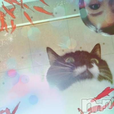 新潟デリヘル Minx(ミンクス) 志保(26)の1月6日写メブログ「にゃんさま(♀)」