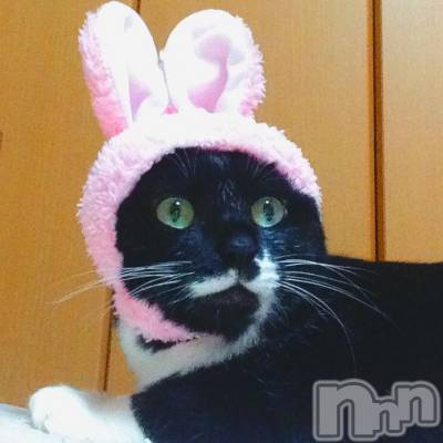 新潟デリヘル Minx(ミンクス) 志保(26)の6月17日写メブログ「うさぎ飼い始めました。」