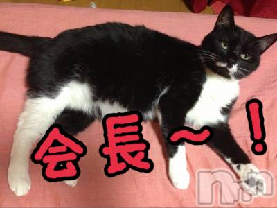 新潟デリヘル Minx(ミンクス) 志保(26)の3月17日写メブログ「志保さんぽ♪」