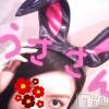 新潟デリヘル Minx(ミンクス) 志保(26)の3月24日写メブログ「声だけで…。」