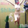 新潟デリヘル Minx(ミンクス) 志保(26)の1月4日写メブログ「旅人なYさま♪」