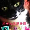 新潟デリヘル Minx(ミンクス) 志保(26)の2月22日写メブログ「アタイの日にゃ!!」