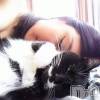 新潟デリヘル Minx(ミンクス) 志保(26)の12月11日写メブログ「野良猫の話。」