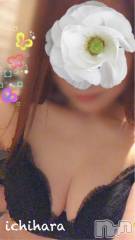 新潟人妻デリヘル人妻楼　新潟店(ヒトヅマロウ　ニイガタテン) 市原(40)の5月1日写メブログ「5月もよろしくね(*^^*)」